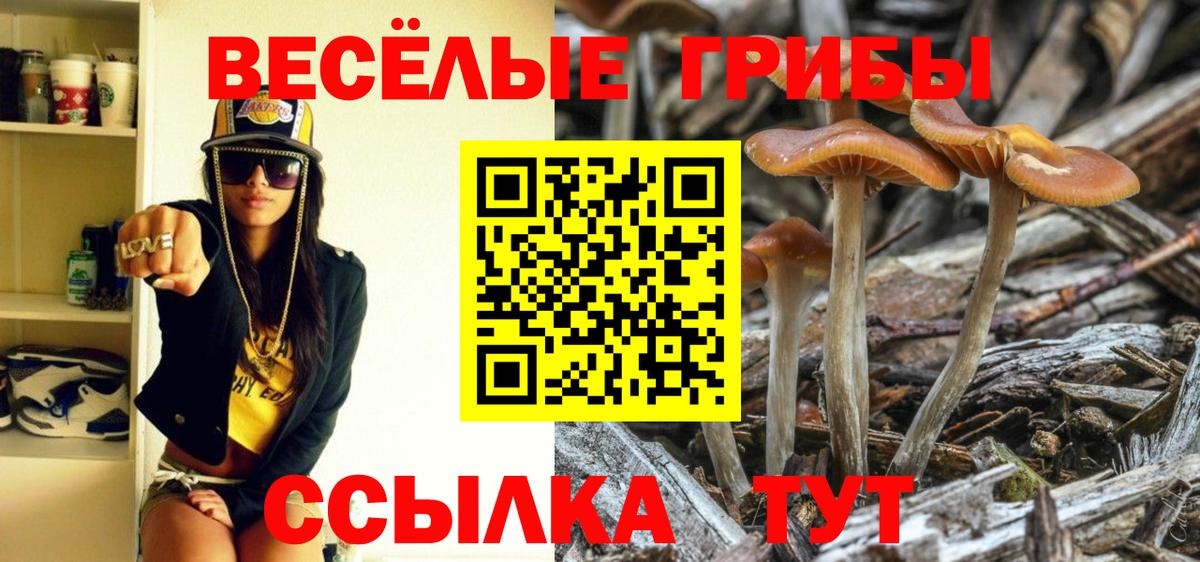 Псилоцибиновые грибы прущие грибы  Вход с VPN  Прохладный  Галлюциногенные грибы прущие грибы 